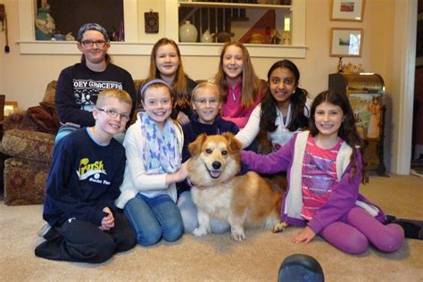 Amesbury Animal Hospital - Amesbury, MA 01913