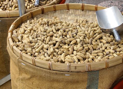 How Many Calories are in Boiled Peanuts? | 2bstronger.com