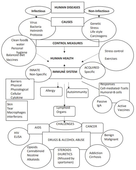 CBSE Class 12 Biology Human Health and Disease Revision Notes for 2023 ...