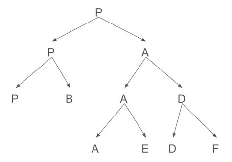Fork System Call 的图像结果