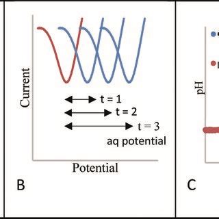 Image result for Consistent Reference System