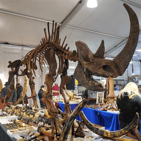 The Tucson Gem Show on 22nd Street ~ Tucson’s Biggest Show Returns Jan ...