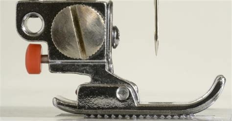 Wrapped for winter in my dead friend’s coat – The Irish Times