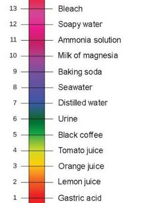 draw a representive ph scale showing values of ph ranging from acidic ...