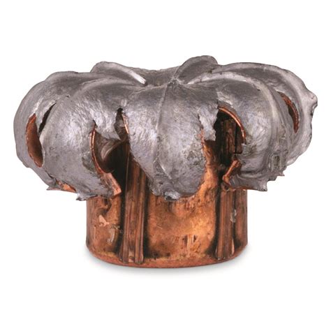 Image result for 450 Bushmaster Bullets for Reloading