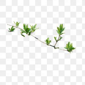 Image result for Computer Animation PNG