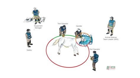 Image result for Stropping Tutorial