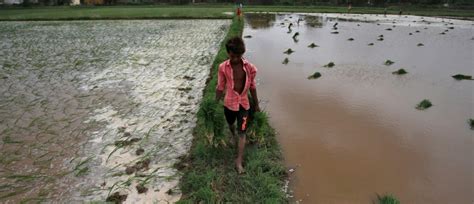 The Wire: The Wire News India, Latest News,News from India, Politics ...