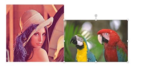 2-Bit Bitmap 的图像结果