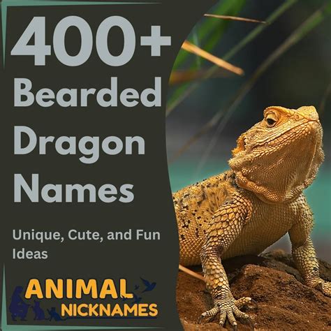 Top 350+ Lion Names: Powerful, Cute, and Unique Name Ideas – Animal ...
