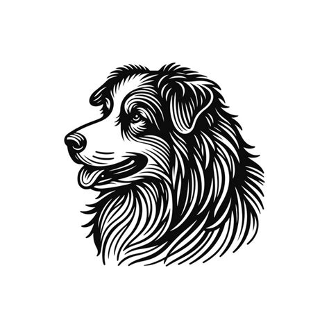 Australian shepherd silhouette illustration white background | Premium ...