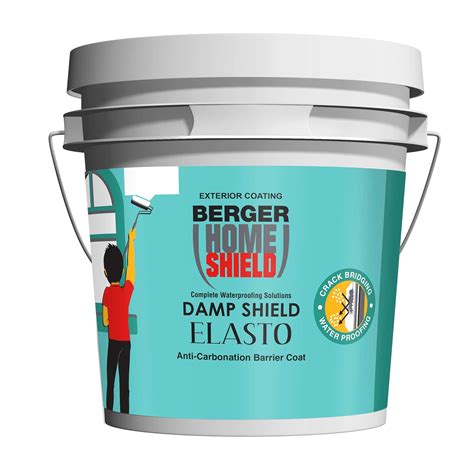 Berger Paints Home Shield Damp Shield Elasto (20 L) : Amazon.in: Home ...