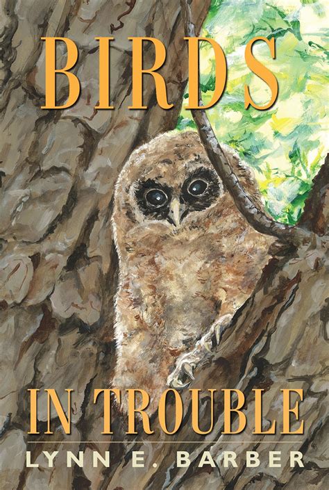 Buy Birds in Trouble Book Online at Low Prices in India | Birds in ...