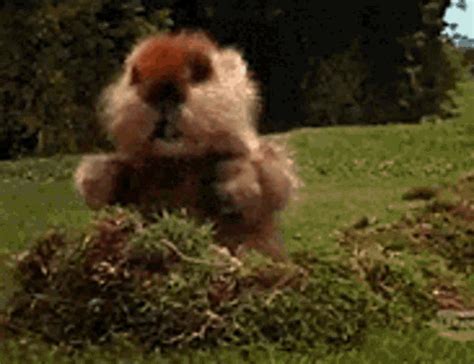 Push Button Caddyshack Dancing Gopher 的图像结果