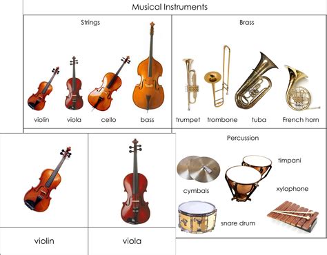 Image result for Musical Instruments List Of
