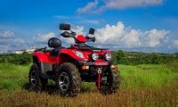 Powerland 900d 4X4 ATV Picture Gallery - Bikes4Sale