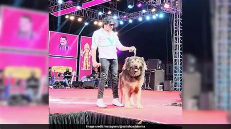 ये है दुनिया का सबसे महंगा कुत्ता... बेंगलुरु के इस डॉग लवर ने खरीदा ...