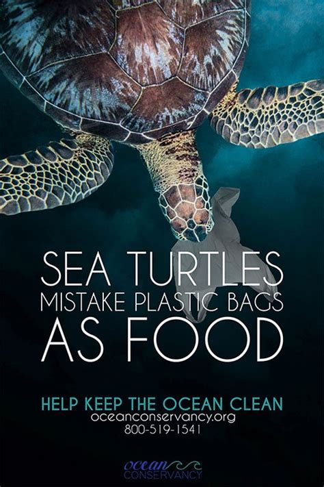 Poster Making for Environment 的图像结果