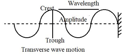 Image result for Transverse Wave Using Rope