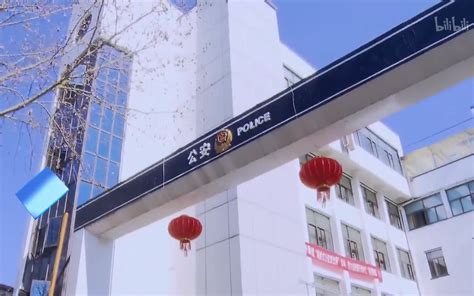 派出所的故事2019（英文版）看点45-纪录片-全集-高清独家在线观看-bilibili-哔哩哔哩