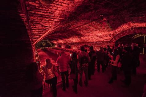 TOUR & VISIT CONCHA Y TORO WINERY (2026) All You Need to Know BEFORE ...