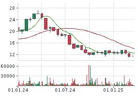 STELLANTIS AKTIE | Aktienkurs | NL00150001Q9 | A2QL01 | News | finanzen.net