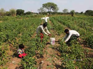 Kharif crop: NBHC comes out with its final 2019-20 kharif crop ...