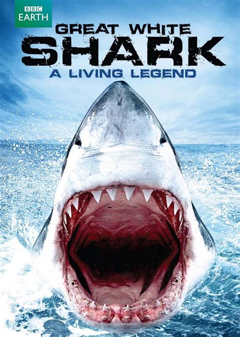 BBC自然世界：大白鲨-传奇生物(NATURAL WORLD: GREAT WHITE SHARK - A LIVING LEGEND)-纪录 ...