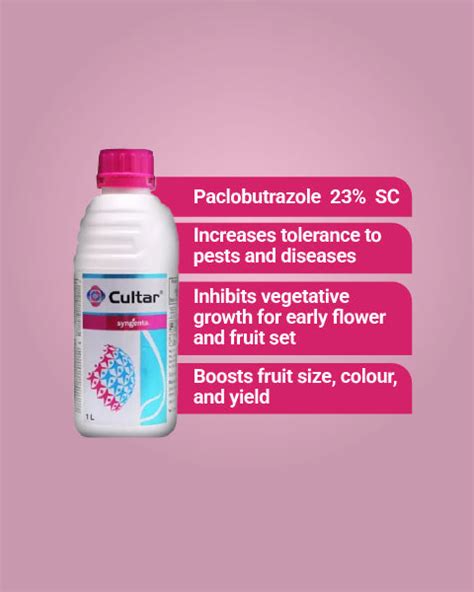 Syngenta Cultar Plant Growth Regulator Buy Online at Lowet Price | BigHaat