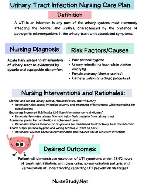 Urinary Tract Infection UTI Nursing Diagnosis & Care Plan - NurseStudy.Net