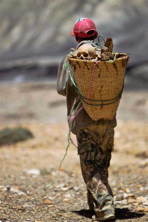 Archaeology Examples 的图像结果