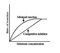 Enzymes and Factors Affecting Respiration - Biology for ACT PDF Download