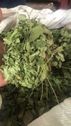 Herbal Powder and Organic Herbs Importer | Kovai Global Exports INC, Mumbai