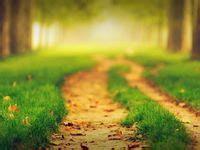 Image result for Background Images for JavaScript