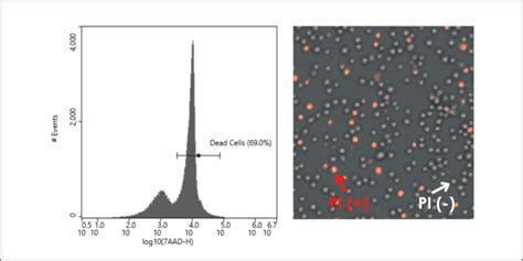 Image result for Cell Sorting Staining Protocol