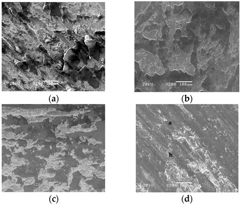 Microstructure and High-Temperature Wear Performance of FeCr Matrix ...