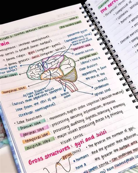 Image result for Study Guide Note Ideas