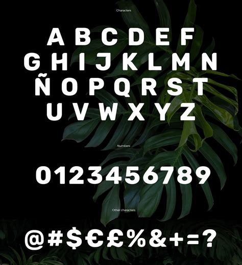 Font Creator Program 的图像结果