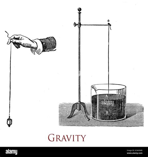 Image result for Gravity Physics