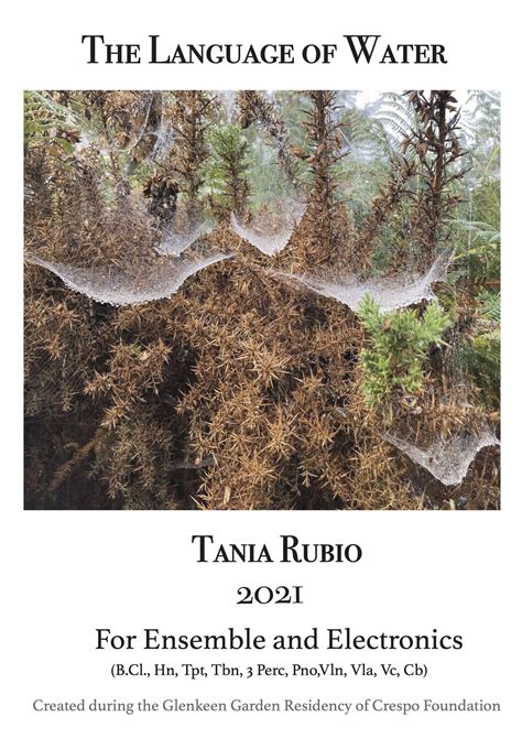 Música de cámara – Tania Rubio