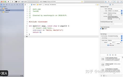 Xcode C++ 的图像结果