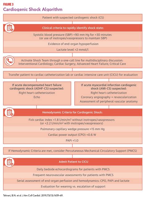 Feature | An Update on Acute Mechanical Circulatory Support in Cardiogenic Shock - American ...