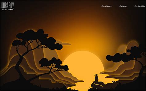 Image result for Website Screen Examples