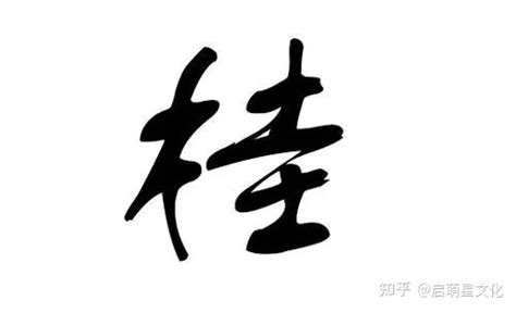 爸爸姓“刘”妈妈姓“李”，儿子不跟父母姓，名字太独特绝无重名 - 知乎