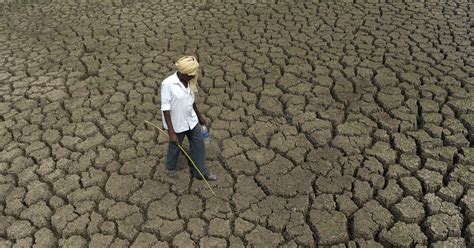 Another Debt Ridden Farmer Attempts Suicide In MP's Damoh, Minister ...