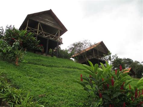 HOTEL LAGO LINDO (Sauce) - Campground Reviews & Photos - Tripadvisor