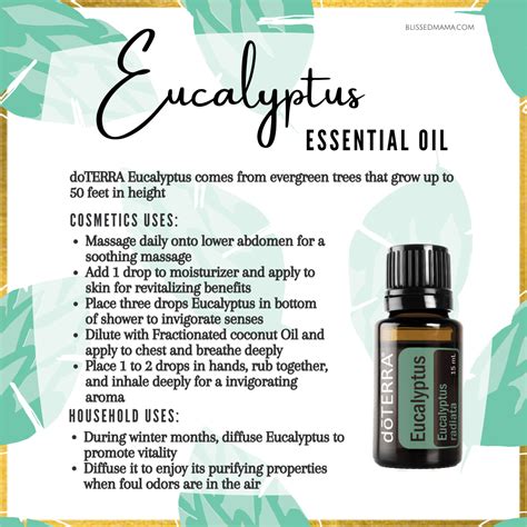 Uses Of Eucalyptus Oil