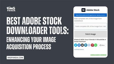 Adobe Stock Downloader 的图像结果
