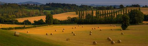 Download wallpaper field, the sky, hay, bales, bales, for, section ...