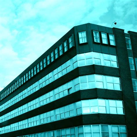 One True Pairing unveils blissful new single ‘Mid-Life Crisis’ - Sport ...